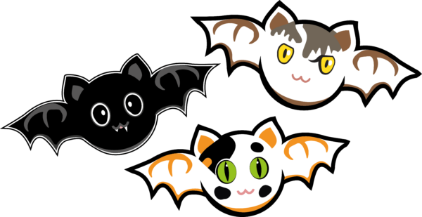Three different CatBats are hovering together on a teal background.