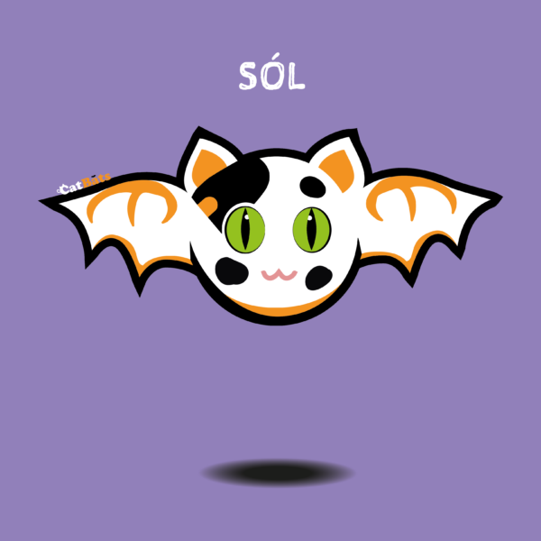 Sol is a calico cat with a mostly white body and black spots.