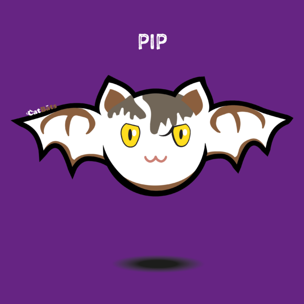 Pip is a white and brown tabby with a striking egyptian eye.