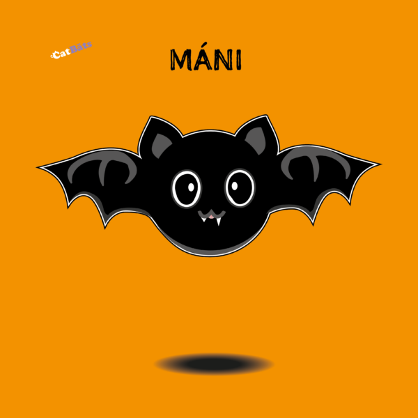 Mani is an all-black cat with a snaggle tooth