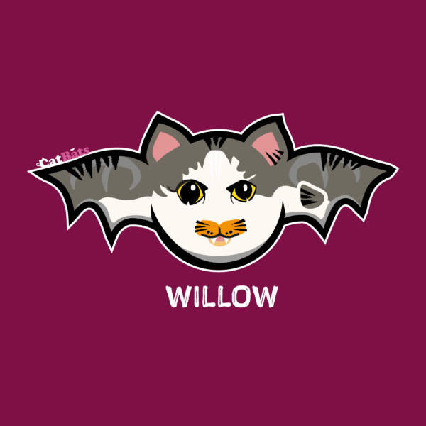 The willow Catbat is a grey tabby with a magnificent ginger moustache.