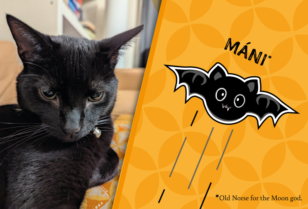 An image of a real life black cat named Máni, with ears looking extra pointy and sitting on a yellow cushion, is shown side by side with his 'CatBat', a black design with large eyes and a single pointy fang, moving rapidly through the air. A caption points out that Máni is the name of the viking moon god in Old Norse.