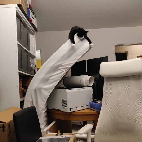 Talia has got herself in trouble, balancing precariously on the end of a propped-up mattress, which is leaning quite a bit.