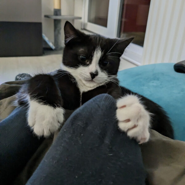 Talia is gripping onto someone's knees as if her life depends on it.